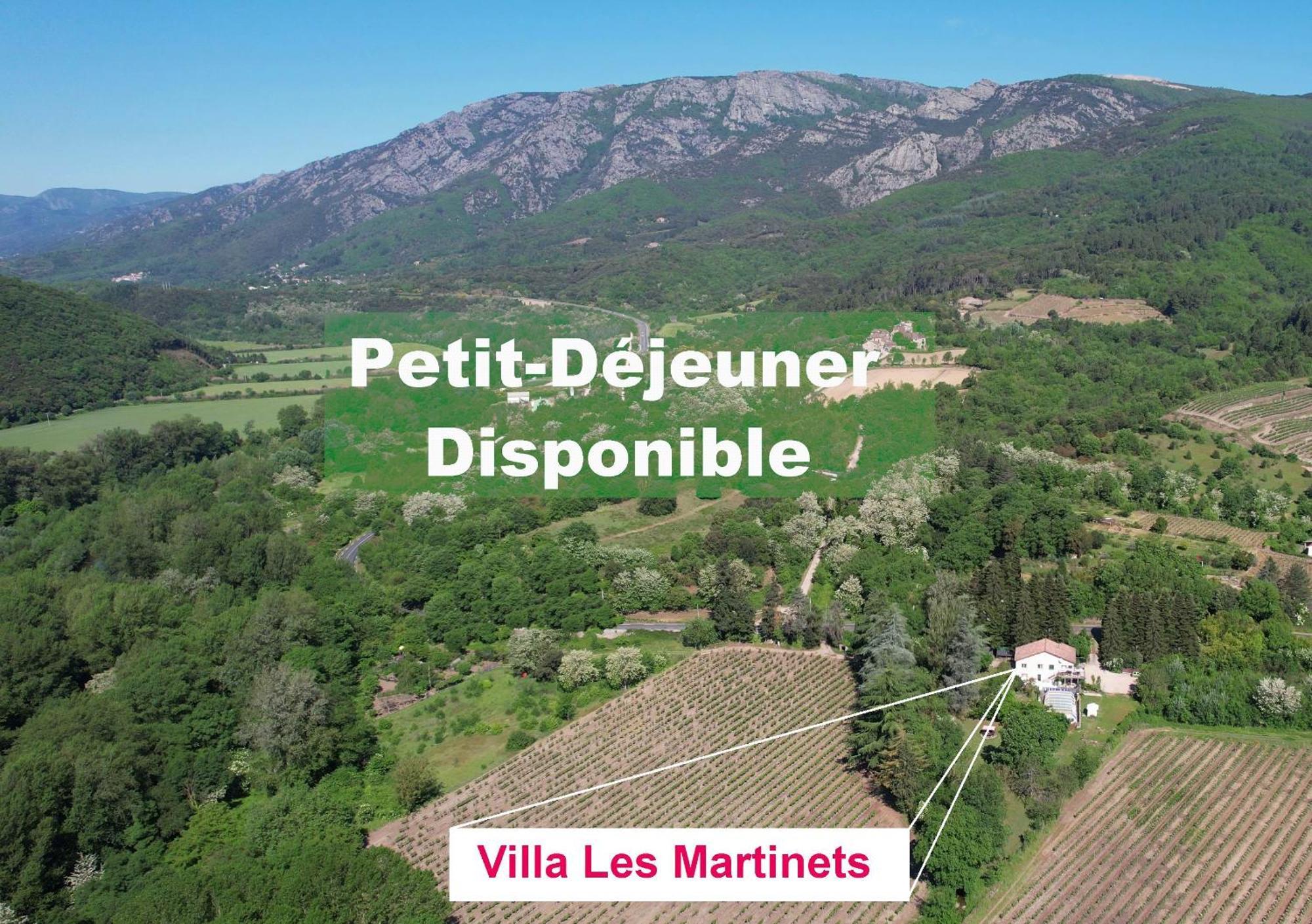 Villa Les Martinets-Piscine-Jacuzzi-Voie Verte-Gorges D'Heric-Massif Du Caroux Mons Olargues 34600 Le Poujol-sur-Orb Экстерьер фото